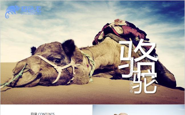 暑假新疆旅游ppt动态模板缩略图