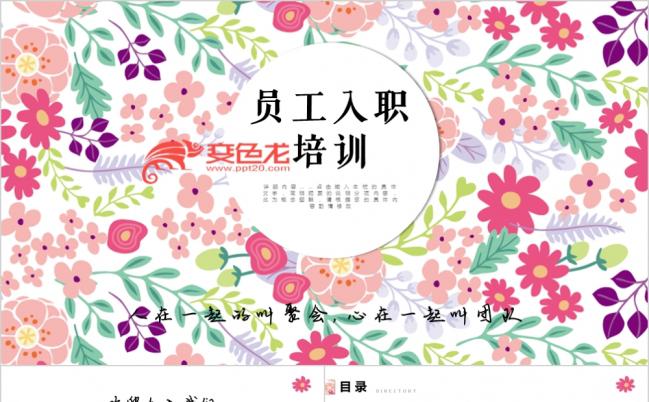 简洁小清新员工培训讲座工作报告通用PPT模板缩略图