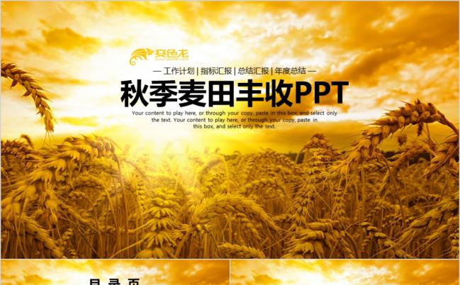 农业丰收银杏金黄色收获PPT模板缩略图