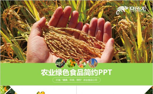 2019生态农业招商农产品企业宣传PPT模板缩略图