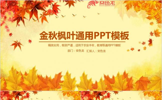 金秋秋天秋季枫叶时尚教育培训动态PPT模板缩略图
