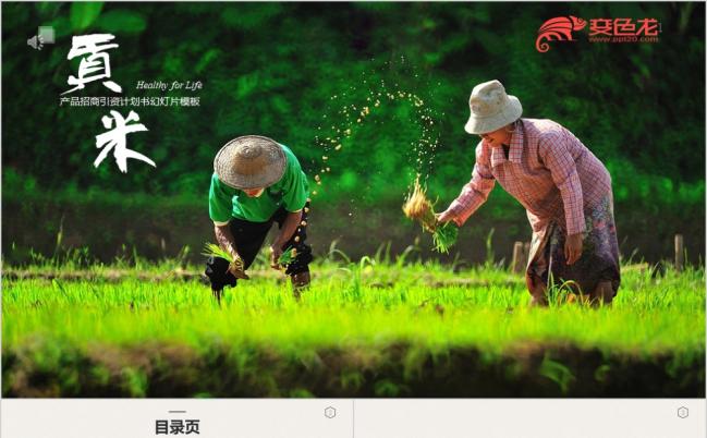 2019招商引资五谷杂粮产品介绍PPT模板缩略图