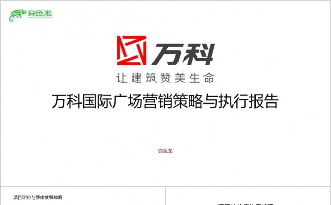 万科国际广场房地产内容详细行业营销策略与执行方案PPT模板缩略图