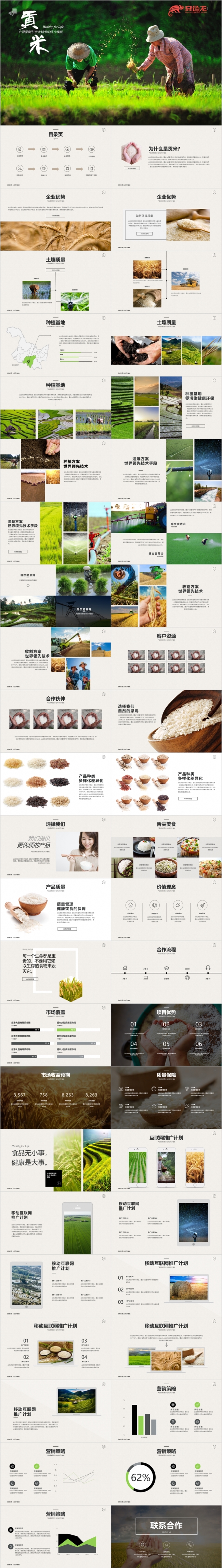 2019招商引资五谷杂粮产品介绍PPT模板
