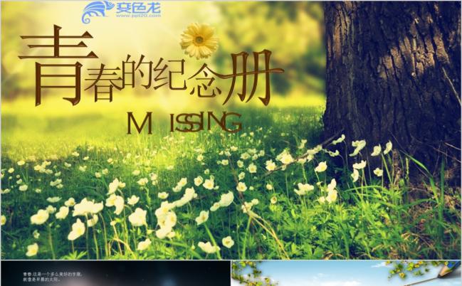 2019自然风青春纪念册PPT模版缩略图