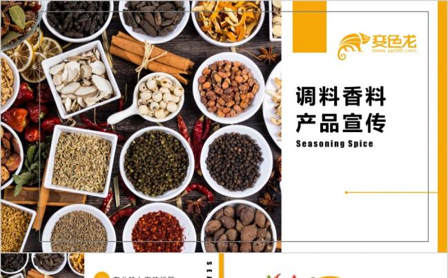 调料香料产品推介宣传演示PPT模板缩略图