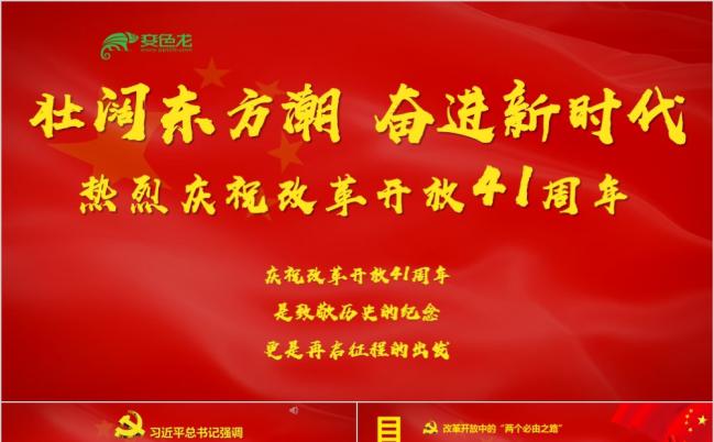 东方红基调五星红旗飘扬改革开放40周年党建党课党支部PPT模板缩略图