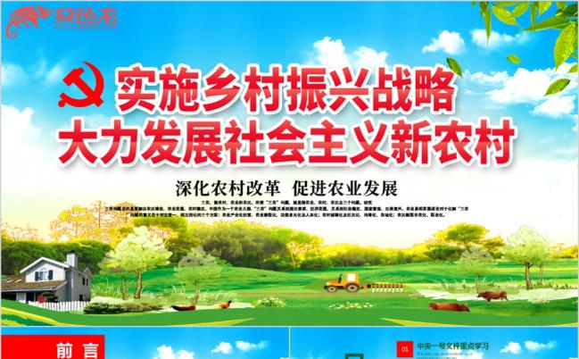 精美大气学习中央一号文件乡村振兴战略解读PPT模版缩略图