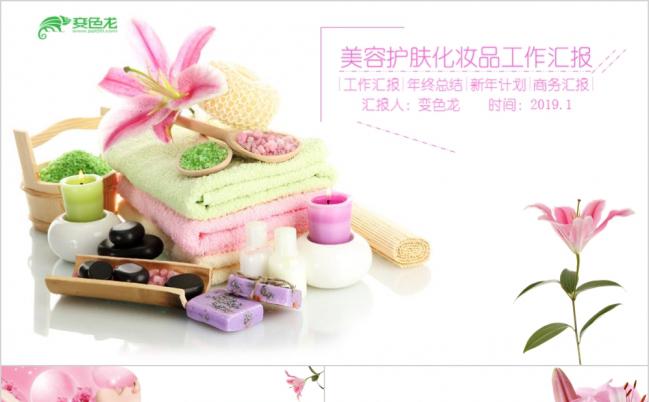 2019美容护肤化妆品工作汇报PT模板缩略图