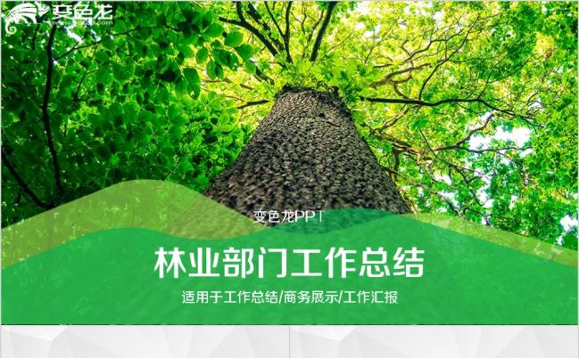 绿色精致清新林业部门工作总结PPT模版缩略图