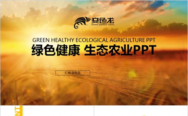 绿色健康生态农业农村合作农业种植生产PPT模板缩略图