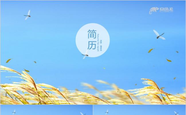 清新蜻蜓个人简历岗位竞聘ppt模板缩略图
