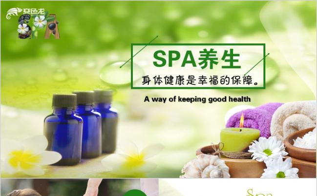 精美SPA美容养生会所教育说课PPT模版缩略图