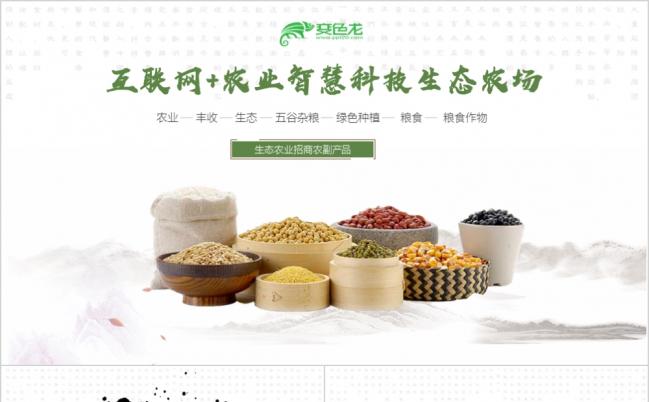 简约水墨风互联网农业智慧科技生态农场宣传PPT模版缩略图