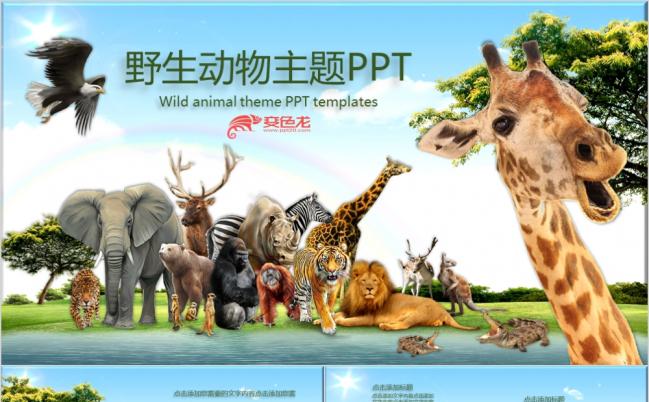 动物大聚会野生动物主题动物园PPT模板缩略图