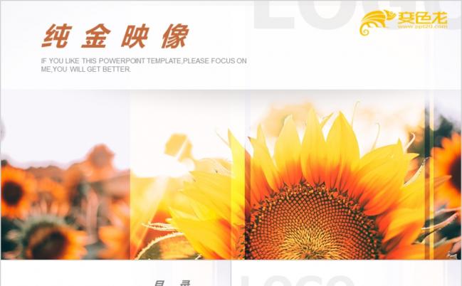 2019减简约风葵花活动策划文艺广告PPT模板缩略图