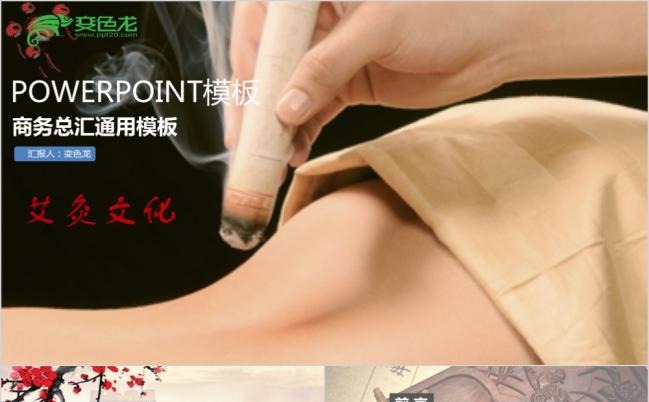 水墨中国风中医中药艾灸中医文化PPT模板缩略图