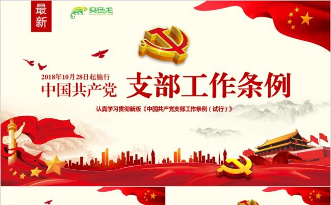 新版中国共产党支部工作条例党课党政PPT模板缩略图