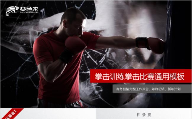 简约整洁微粒体拳击训练比赛规则讲解PPT模版缩略图