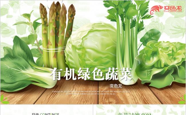 创意手绘个性有机蔬菜农产品种植PPT模板缩略图