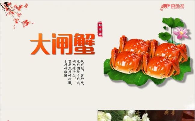 橙色精美螃蟹美食文化宣传PPT模版缩略图