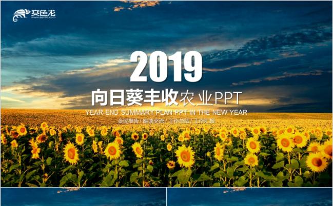  2019农业生产丰收向日葵农产品PPT模板缩略图