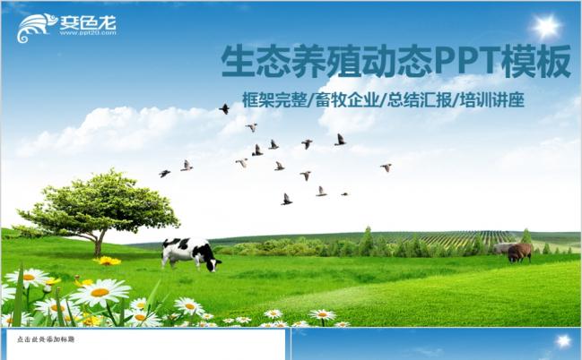 生态农场牧场农业养殖培训讲座PPT模板缩略图
