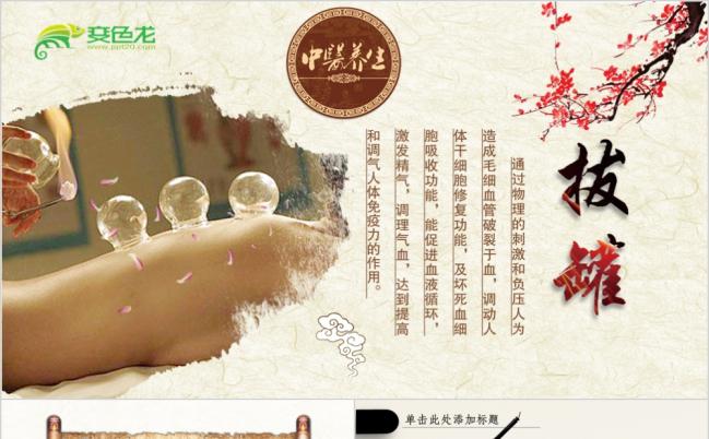 水墨中国风中医中药拔罐中医文化PPT模板缩略图