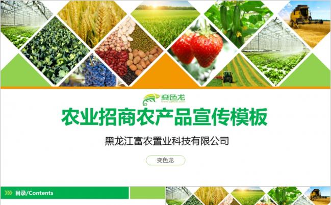 农业招商农产品宣传五谷PPT模板缩略图