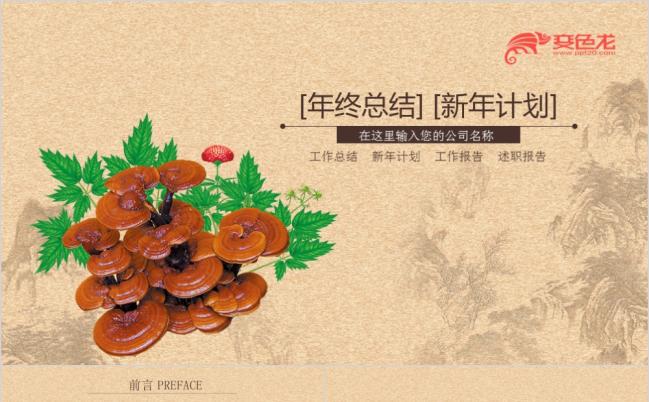 复古怀旧中药养生推广PPT模版缩略图