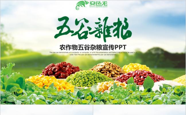 清新自然农业科技农产品农作物五谷杂粮PPT模板缩略图