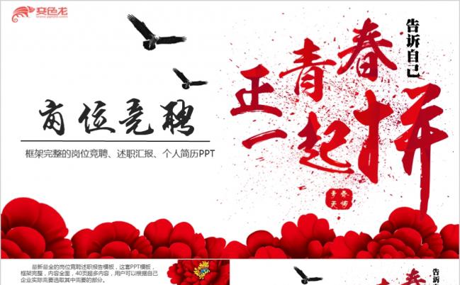 正青春一起拼大学生职业生涯规划述职汇报个人简历PPT模板缩略图