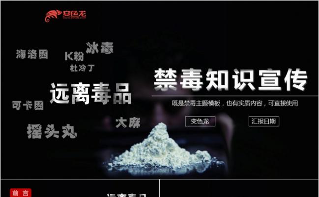 远离毒品国际禁毒日 毒品知识解读宣讲培训PPT模板缩略图