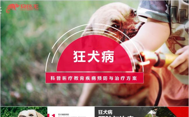 粉色狂犬病疾病的预防与治疗方案PPT模板缩略图