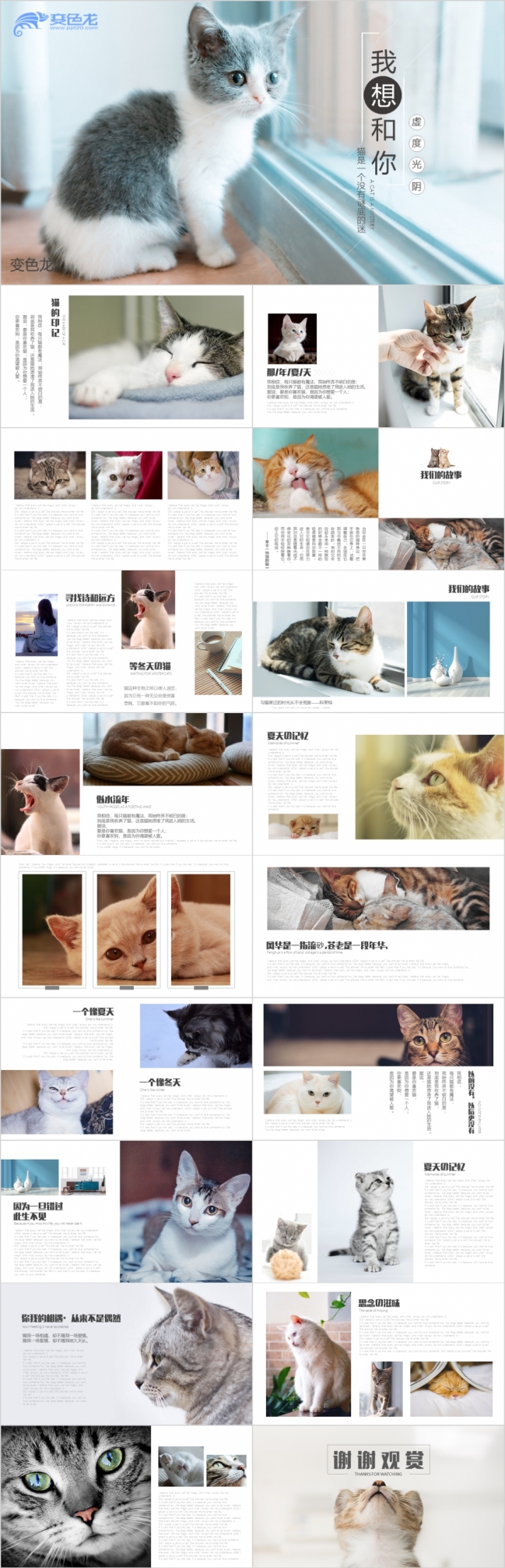简洁小清新可爱小猫咪相册萌宠纪念PPT模板