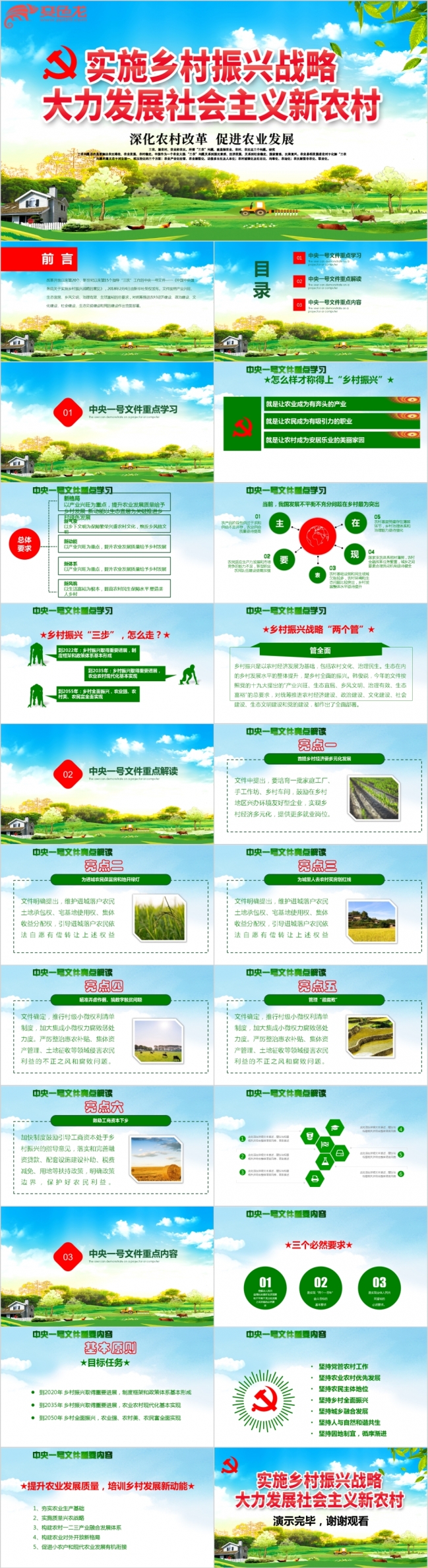 精美大气学习中央一号文件乡村振兴战略解读PPT模版