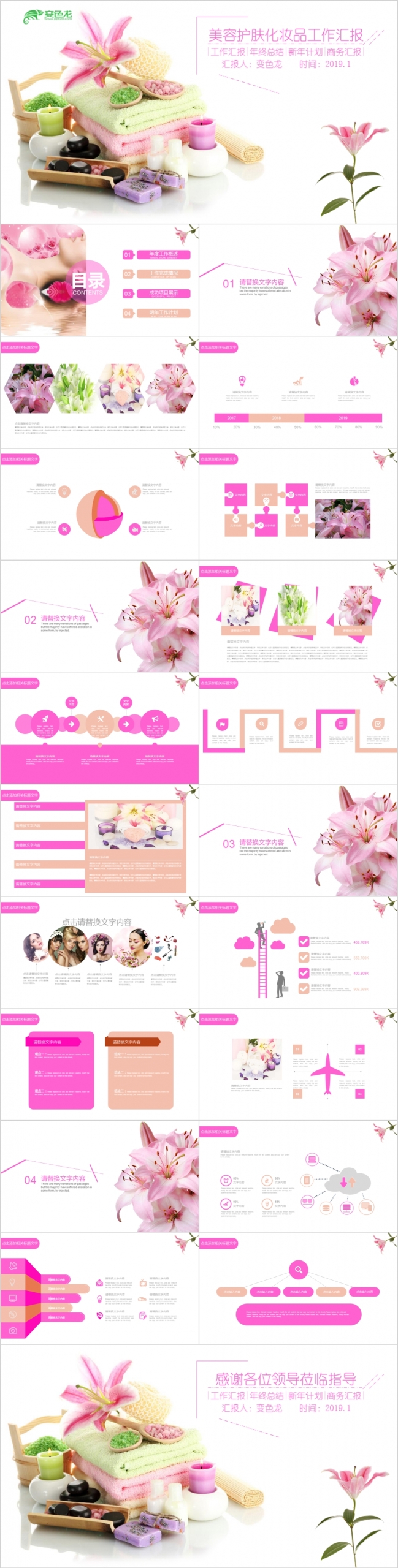 2019美容护肤化妆品工作汇报PT模板