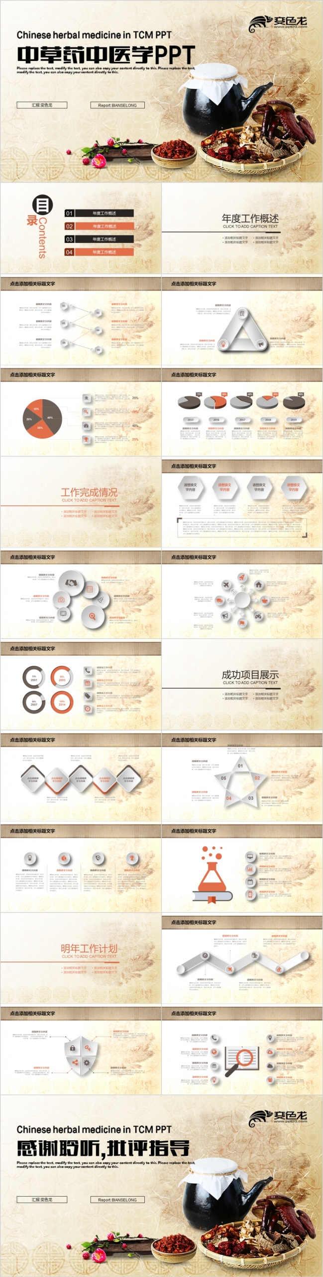 中国风中草药中医学养生药材药学中医针灸PPT模板