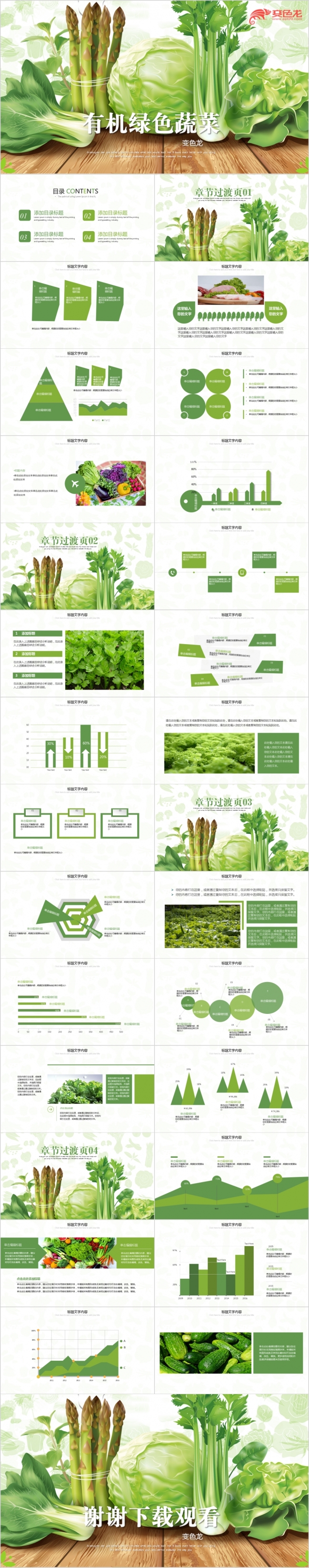 创意手绘个性有机蔬菜农产品种植PPT模板