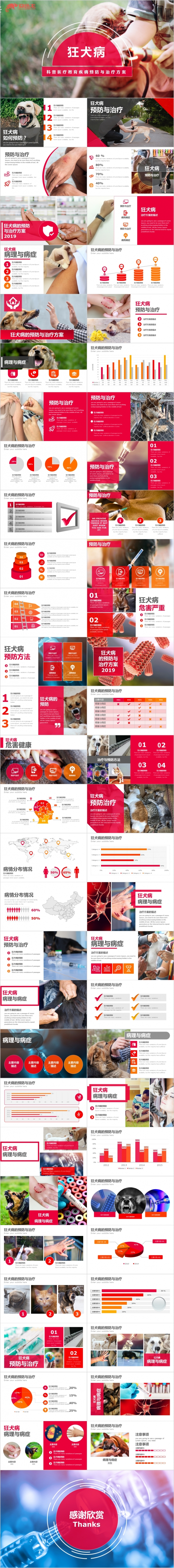 粉色狂犬病疾病的预防与治疗方案PPT模板