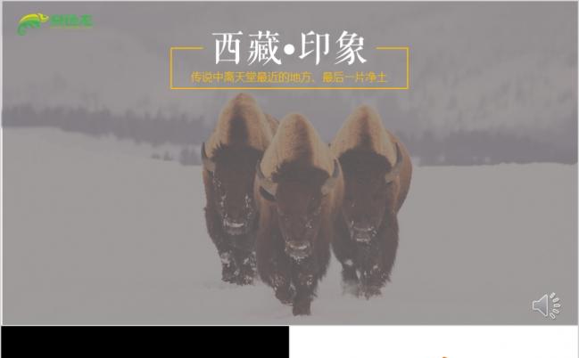 西藏旅游文化主题西藏景点介绍PPT模板缩略图