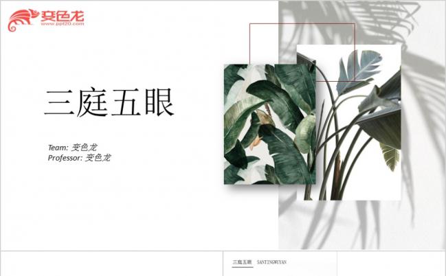 极简工作总结汇报通用PPT模板缩略图