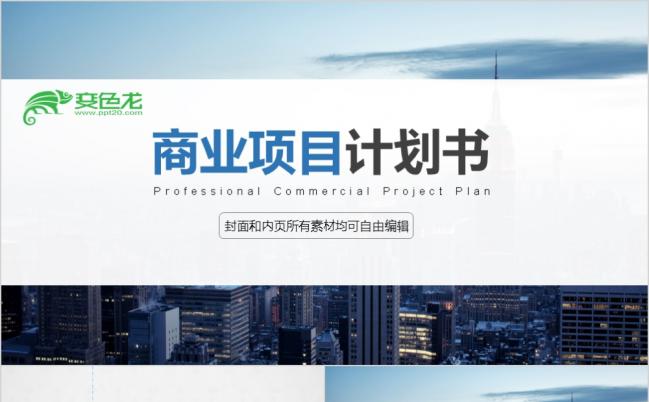 简约实用商业项目计划书PPT模板缩略图