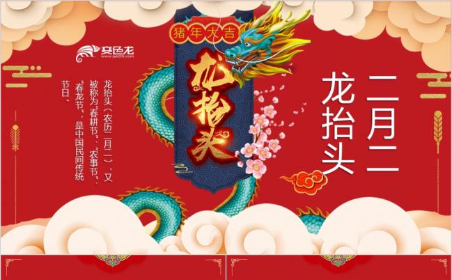 2019红色喜庆中国风二月二龙抬头传统文化讲解PPT模板缩略图