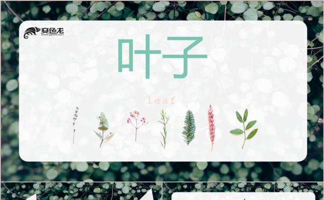 原创实用推荐丨北欧风唯美时尚杂志风通用ppt模板缩略图