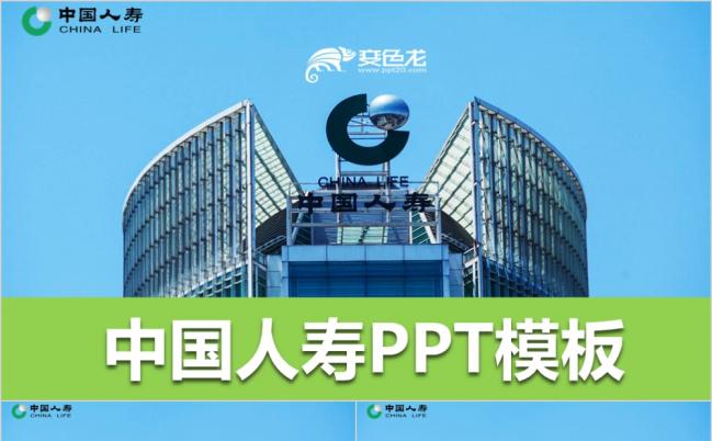 中国人寿方案策划工作总结PPT模板缩略图