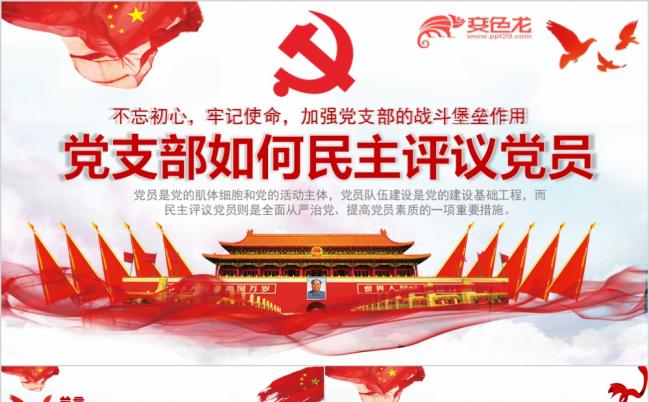 年终党支部评议工作总结PPT模板缩略图
