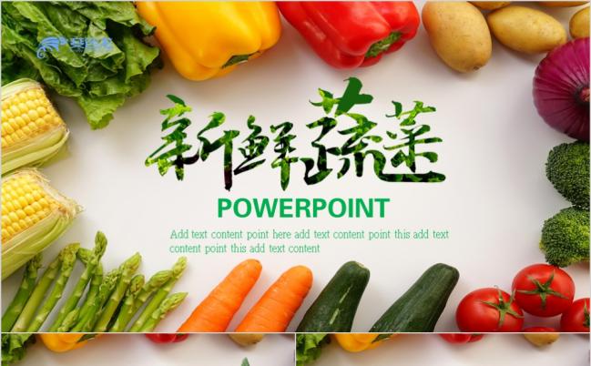 新鲜农业蔬菜健康养生ppt模板缩略图