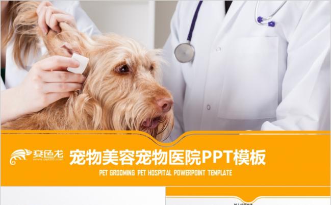宠物店宠物美容宠物医院宠物饲宣传PPT模板缩略图