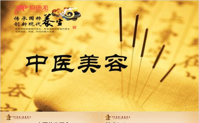 中国古韵风中医美容PPT模板缩略图